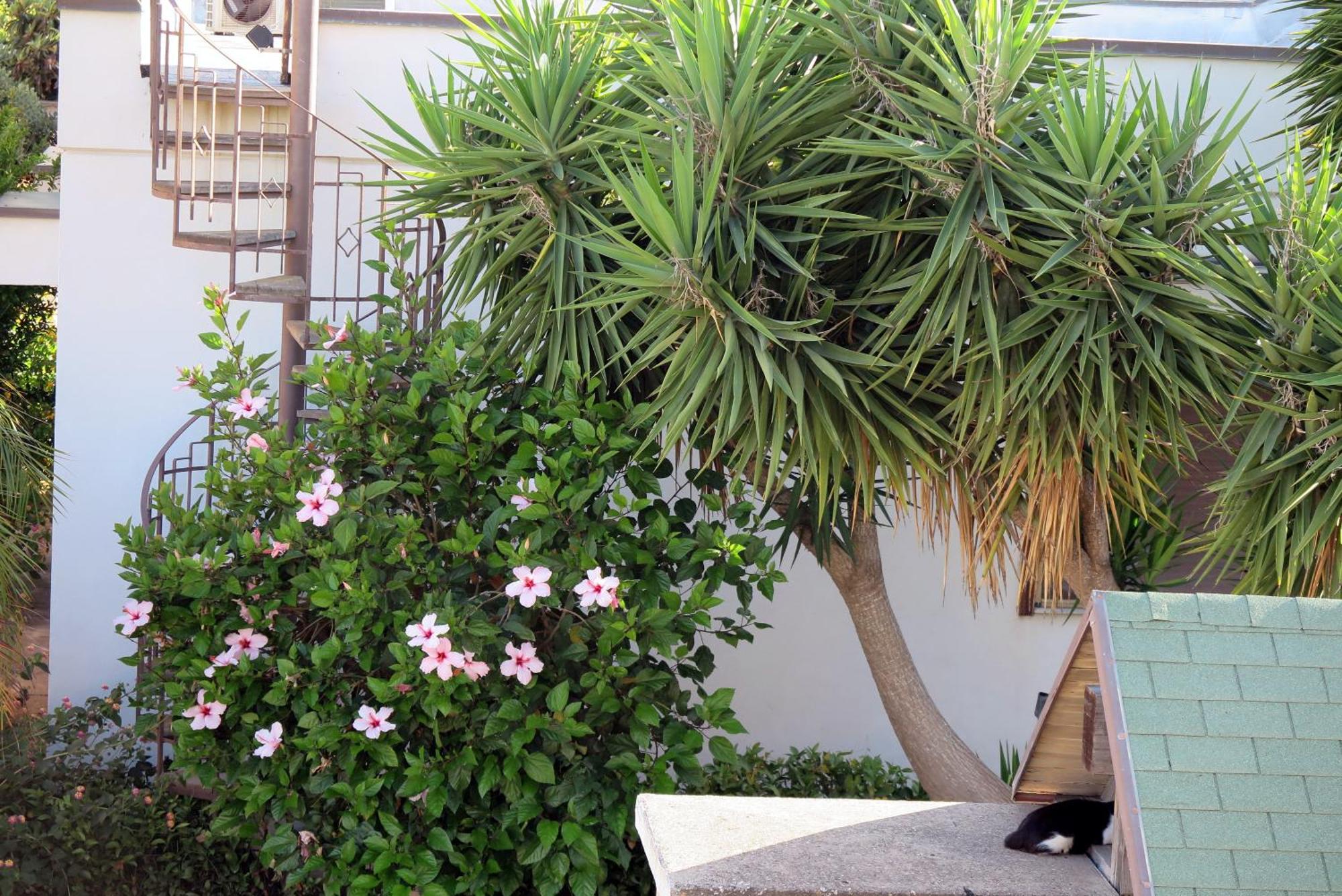 Casa Floriana A San Leone Villa Exteriör bild